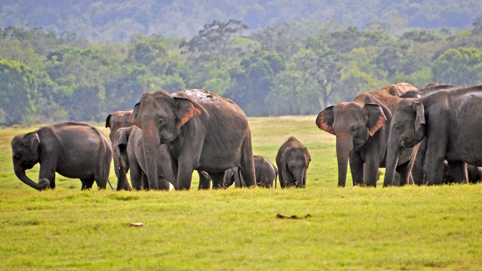 Sri Lanka